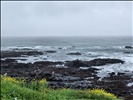 Lost Coast, California